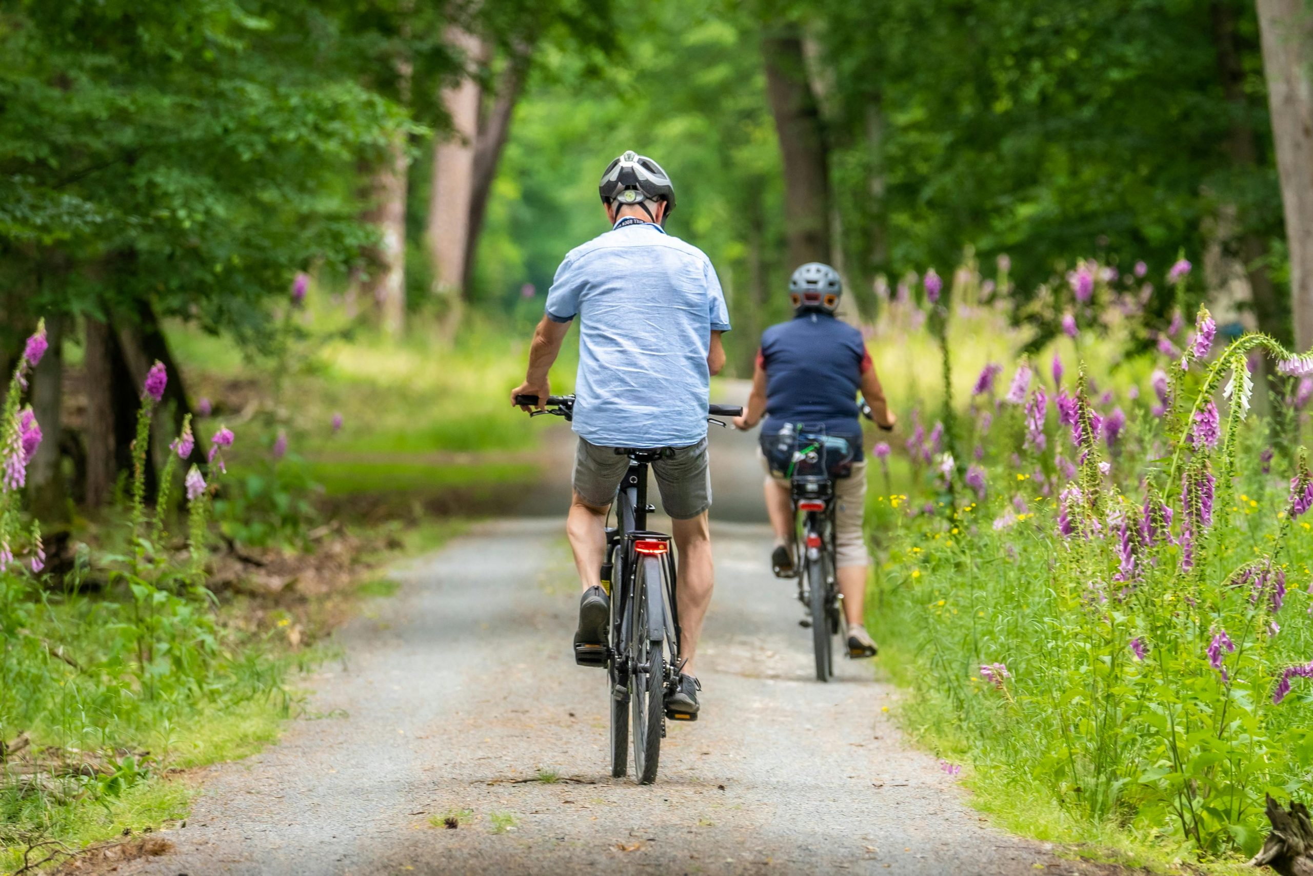 Vélo